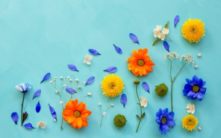 Flowers and petals - summer, flower, orange, yellow, texture, petal, blue, skin