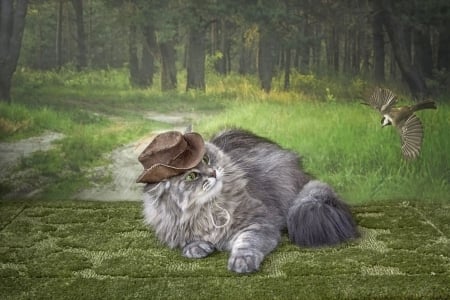 Diana the huntress - hat, cat, pisica, pasare, daykiney, bird, animal, green, cute