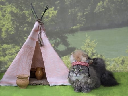 Pocahontas - pocahontas, tent, cat, pink, green, cute, pisica, daykiney