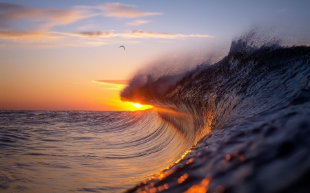 Wave covering the sunset - yellow, water, sunset, summer, wave, sea