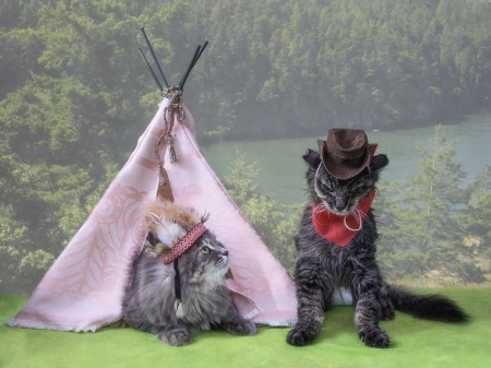 Pocahontas and the cowboy - pocahontas, tent, hat, couple, cat, funny, pisica, daykiney, cowboy, pink, animal, green, cute