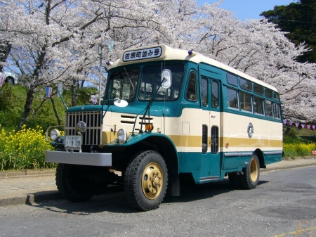 bonnet bus - bus, tree, bonnet, grass