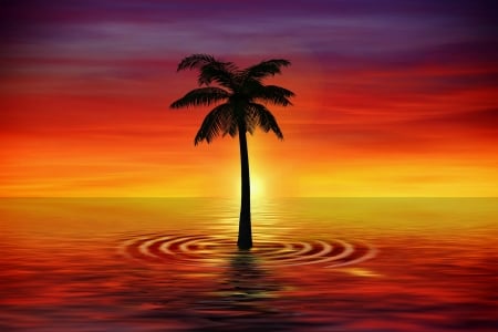 Sunset - dusk, palm tree, water, reflection, sunset