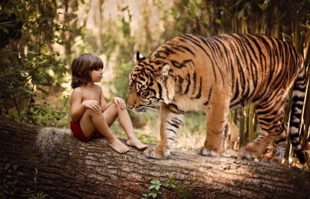 Little boy - tigr, kid, wood, leg, baby, child, tree, boy, animal, nature, green, sit, little, feet