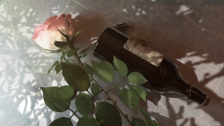 Lost keys - key, bottle, trandafir, flower, pink, kristina tsenova, fantasy, rose, art, luminos