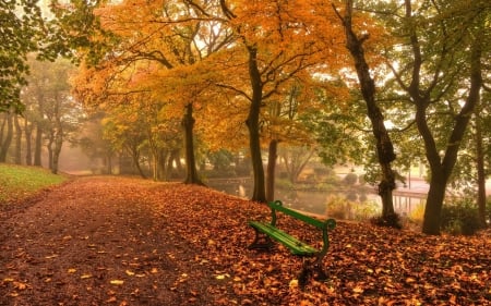 Bench in Autumn Park