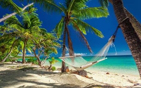 Tropical paradise - Resort, Hammock, Palm trees, Travel