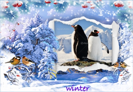 2 penguines - winter, nature, collage, snow