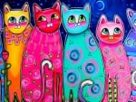 Multicolored cats