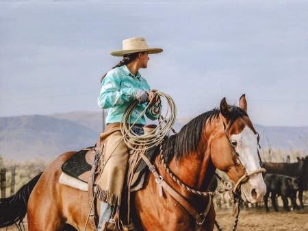 Herding Cattle . . - women, female, cowgirl, boots, hats, outdoors, western, brunettes, horses, cattle, ranch, herd