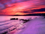 Purple Sunset