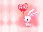 Valentine's bunny