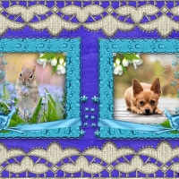 FRAMED ANIMALS