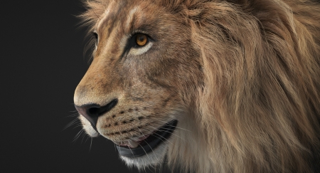 Lion - lion, luminos, leu, paul panchenko, animal, fantasy, cg, big cat