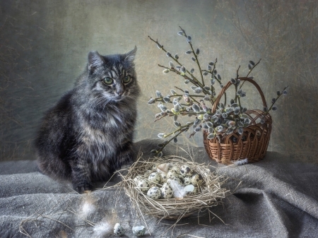 Spring - cat, easter, animal, egg, basket, pisica, spring, daykiney