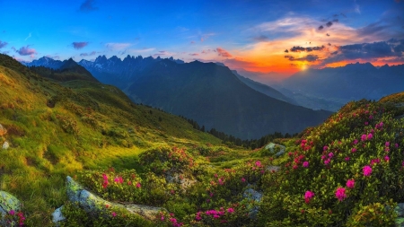 Sunset in Austrian Alps - sky, landscape, colors, mountains, flowers