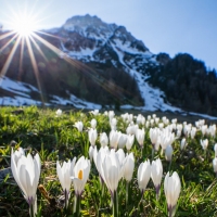 Spring in Ramsau, Austria