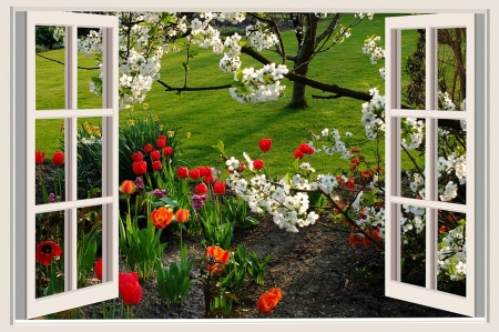 a beautiful day - beauty, nature, windows, photography, flowers, garden