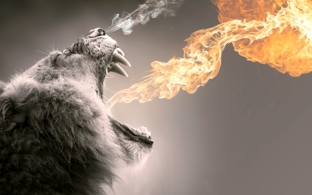 Roaring flames - lion, leu, bw, black, pisica, creative, fire, fantasy, white, flame, yellow, situation, animal, roaring, big cat