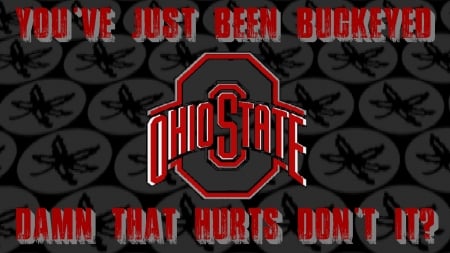 YOU'VE JUST BEEN BUCKEYED - FOOTBALL, BUCKEYES, STATE, OHIO