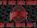 YOU'VE JUST BEEN BUCKEYED