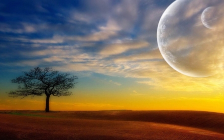 Nature - moon, nature, tree, field, bubble