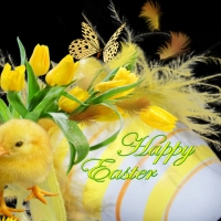 Happy Easter For My Sister and Everyone in Nexus