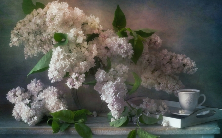 Lilacs - liliac, bouquet, still life, vase, spring, cup, white, green, lilac, flower