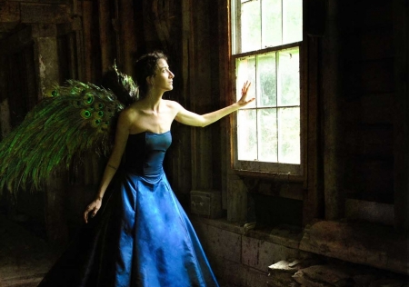 Angel - blue, window, dress, girl, lauren zurchin, feather, angel, fantasy, peacock, green, woman, model