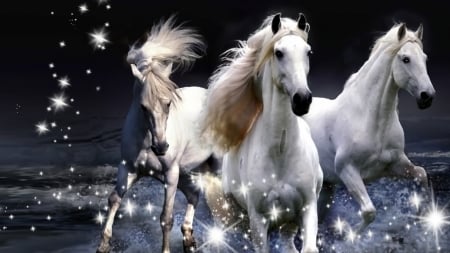 White Horses - horses, beach, stars, surf, firefox persona theme