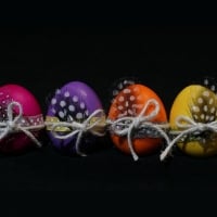 Easter Eggs & Feathers