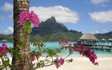 Resort - flowers, beach, huts, resort, tree