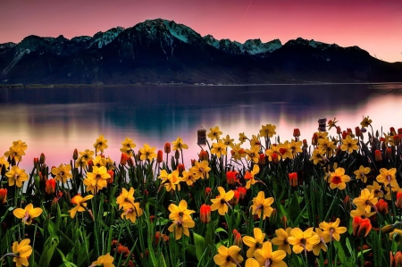 Swiss landscape - swiss, beautiful, tranquil, reflection, mountain, flowers, sunset, Switzerland, serenity, lake