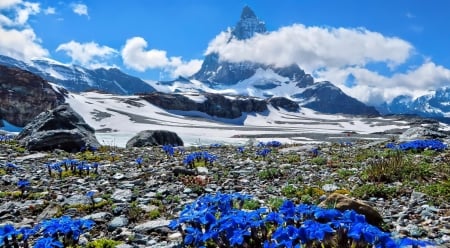 End of winter - sky, mountain, winter, peak, spring, rocks, snow, beautiful, flowers