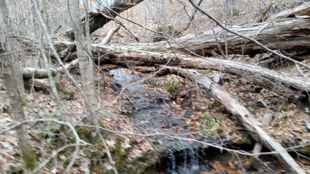 Shockflow - stream, nature, rural, creek