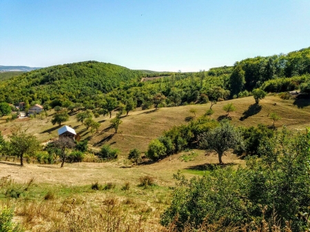 scenery from village brus - kosovo, hills, trees, hause