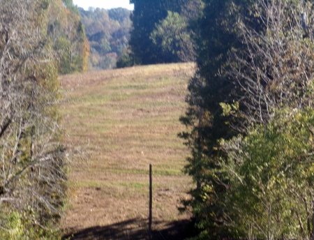 Flypoint - hill, nature, rural, tennessee