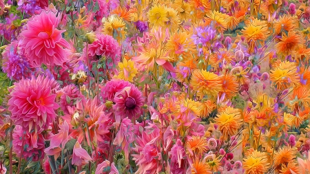 Flowers - summer, flower, pink, field, orange, yellow, luminos, art