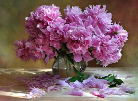 Peonies - vase, peony, spring, flower, petals, bouquet, pink, still life