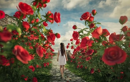 Land of roses - trandafir, vara, girl, summer, path, rose, fantasy, creative, land of roses, red, luminos, green, garden