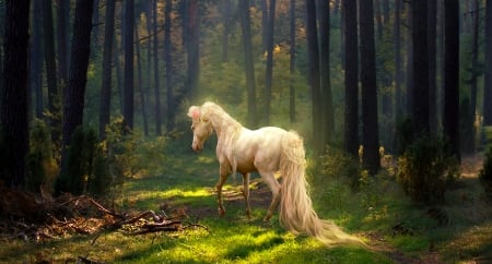 Fantasy horse - forest, horse, fantasy, lunarblues, padure, tree, luminos, green