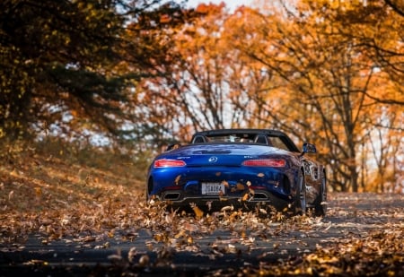 mercedes amg gtc roadster - autumn, mercedes, road, roadster