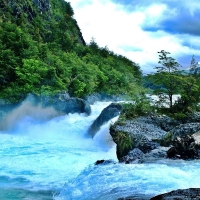 Clear White Water Rapids Streaming