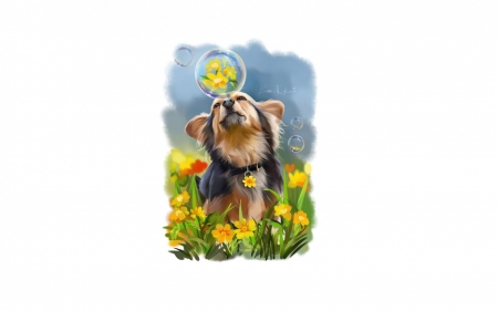 Bubbles - puppy, summer, bubbles, fantasy, caine, art, yellow, dog, lorri kajenna