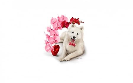 Happy Valentine's Day! - heart, dog, orchid, flower, pink, white, animal, red, valentine, caine, card, art