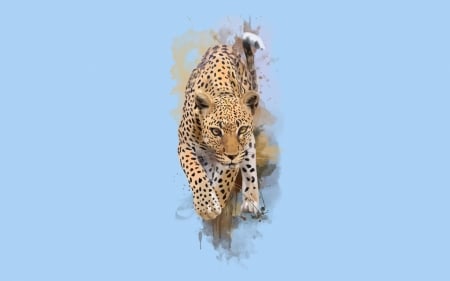 Leopard - leopard, animal, fantasy, lorri kajenna, minimalistic, blue, art