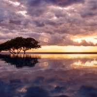 Lake Reflection