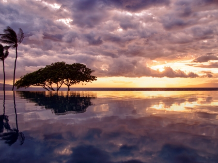 Lake Reflection - nature, sky, lake, trees, reflection, clouds, palm, sea