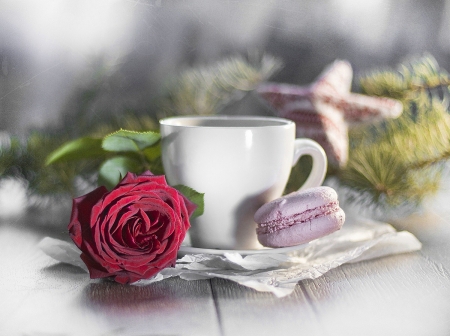 â™¥ - abstract, flower, cup, photography