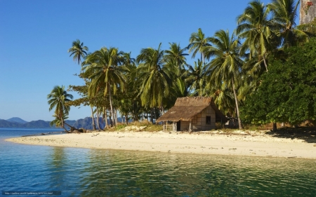 Tropic Island - palms, beach, island, ocean, hut, tropic